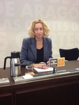 La portavoz de IU en las Cortes, Patricia Luquin, en rueda de prensa