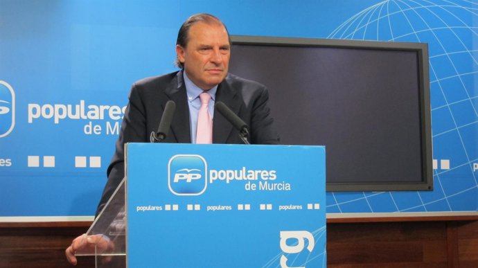 El diputado Vicente Martínez-Pujalte