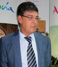 La Junta dice que el Gobierno, con la reforma local, se ha declarado "insumiso" ante la Constitución y Estatuto andaluz