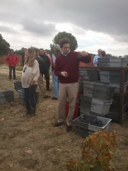 Borja Sarasola en la bodega Las Moradas