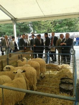 Un centenar de expositores se dan cita en la Feria de Otoño de Biescas.