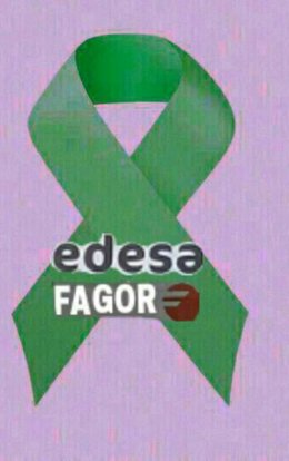 Solidaridad con Edesa Fagor Electrodomésticos