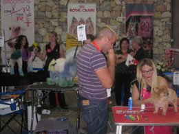 Celebración de Mi Mascota 2013