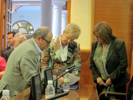 Elena Víboras, antes de ofrecer el aforo del olivar de 2013-14.