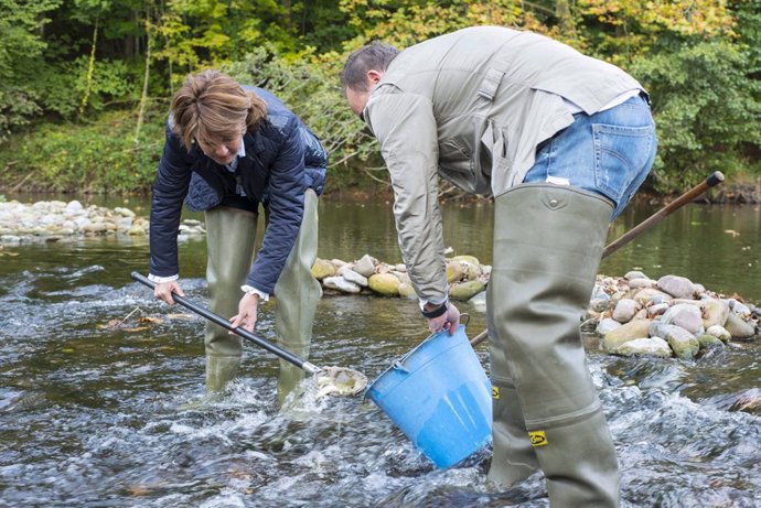 Barcina y el consejero Esparza liberan las crías de salmón.