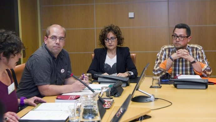 Comparecientes ante la Comisión de Educación.