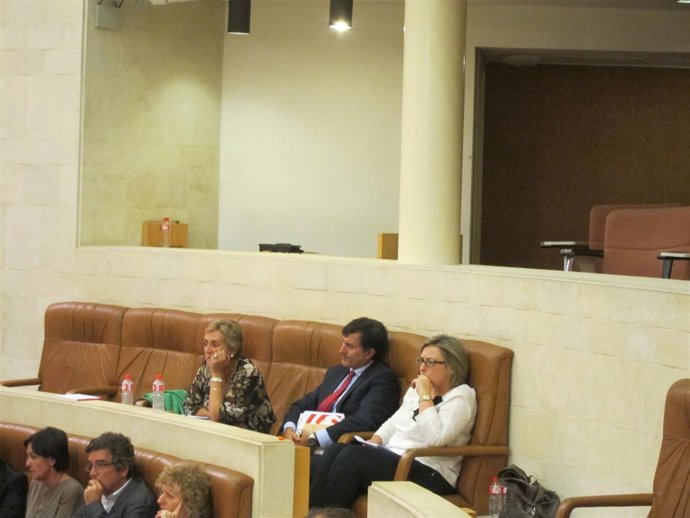 El grupo parlamentario socialista