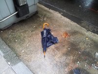 El viento alcanzó los 118,6 kilómetros por hora en Vimianzo (A Coruña) y los 114 en Os Ancares