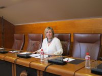 El PSOE pide el cese de Gómez-Barreda y exige responsabilidades políticas a Díaz por el servicio de violencia