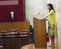 María Jesús Montero, hoy durante su comparencia en Pleno