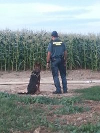 Detenidos tras esconderse en un maizal los cuatro autores de un robo en un bar