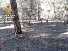 Escenario de uno de los incendios provocados por el imputado.