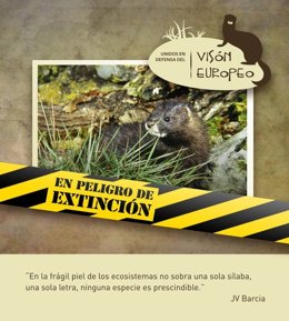 Organizaciones ambientales lanzan una campaña de crowdfunding para salvar al vis