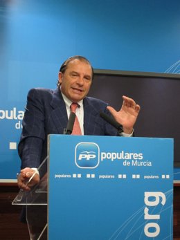 Pujalte, en rueda de prensa
