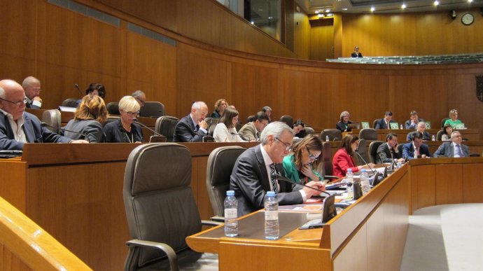 Pleno de las Cortes de Aragón