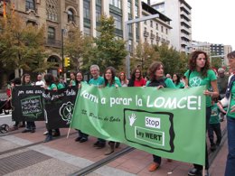 Manifestantes en la jornada de huelga en Educación esta tarde en Zaragoza