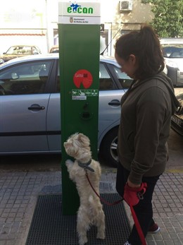 Un perro utiliza el E-CAN