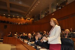 Luisa Fernanda Rudi, en el Pleno