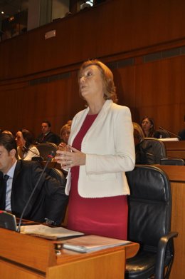 La presidenta, durante su intervención en las Cortes