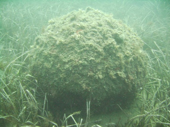 La mina desactivada en Roses