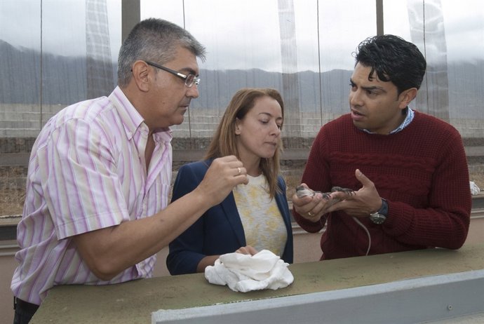 Autoridades y técnicos con uno de los lagartos