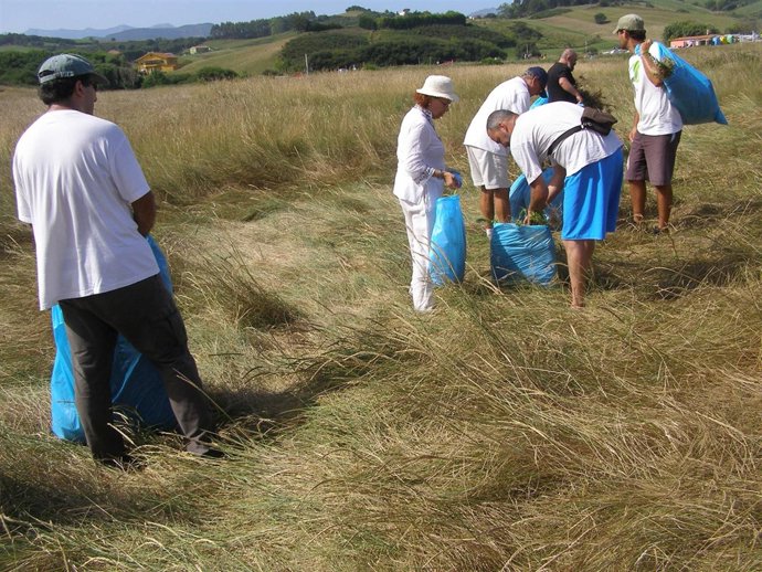 Voluntariado ambiental