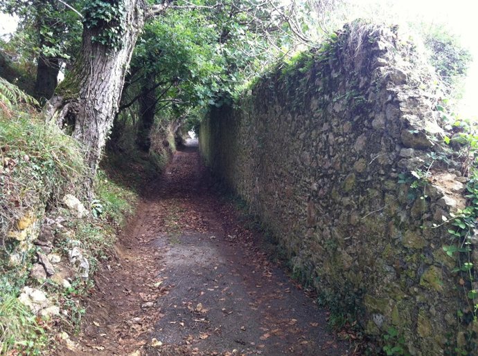 Uno de los caminos abiertos