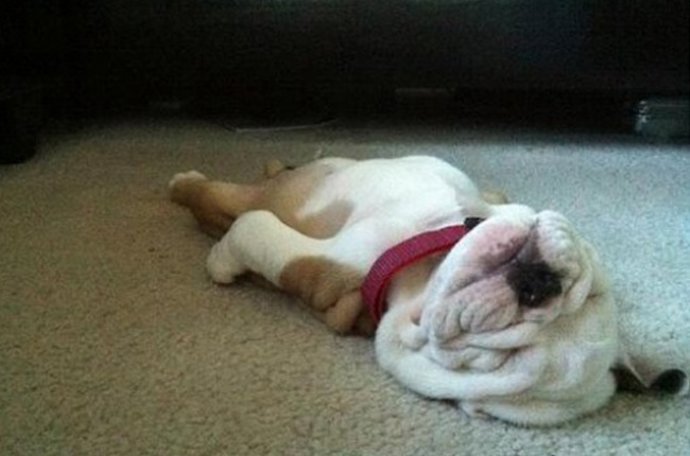 Que el cambio horario no afecte a tu ánimo 