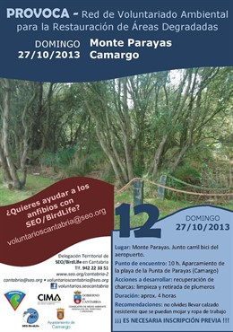 Cartel de la actividad