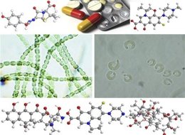 antibióticos
