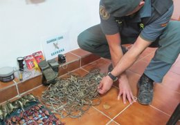 Imputado por cazar aves con trampas prohibidas