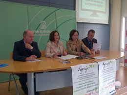 Andalucía registra 2.527 pacientes en tratamiento por adicción al juego