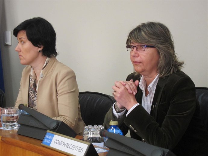 Rosa Quintana, en la comparecencia de presupuestos del Parlamento de Galicia