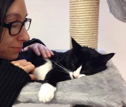 La Gatoteca en Madrid