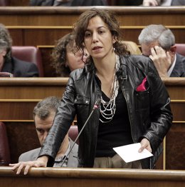 Irene Lozano, diputada de UPyD