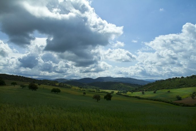 Comarca de Los Acebuchales