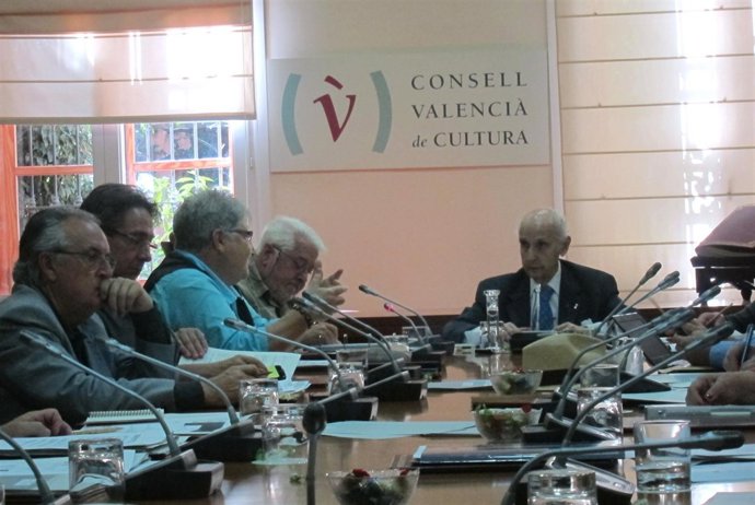 Pleno del CVC