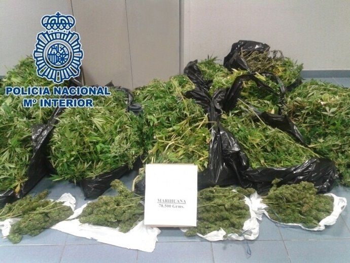 Marihuana requisada por la Policía Nacional