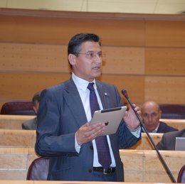 Luis Salvador, cuando era senador del PSOE