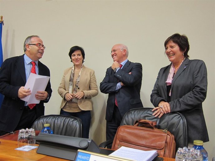 La conselleira de Sanidade,R.Mosquera, antes de la comparecencia de presupuestos