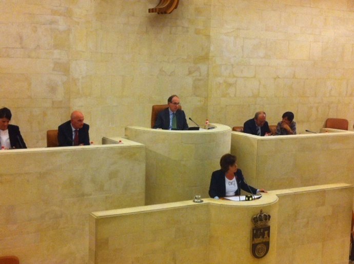 La diputada del PP en el Parlamento de Cantabria Tamara González