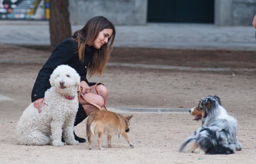 Adriana Ugarte pasea feliz a sus perros