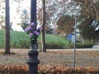 Un total de 25 imputados y diez piezas separadas, en el primer año de investigación judicial