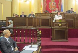 La consellera María José Català interviene en el Senado