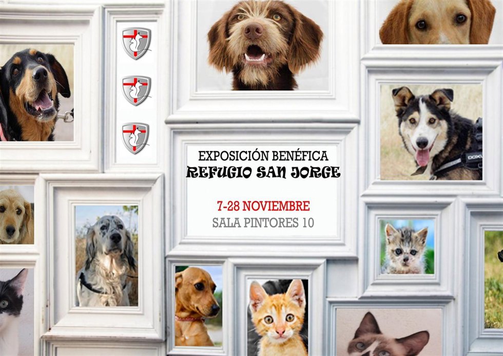 Exposición del refugio San Jorge