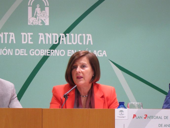 La consejera de salud María José Sánchez Rubio