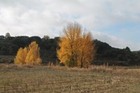 El Puente de 'Todos los Santos' estará marcado con temperaturas normales para la época en la Región
