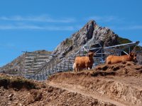 La oposición en el Congreso rechaza una reforma eléctrica que no resuelve el déficit de tarifa