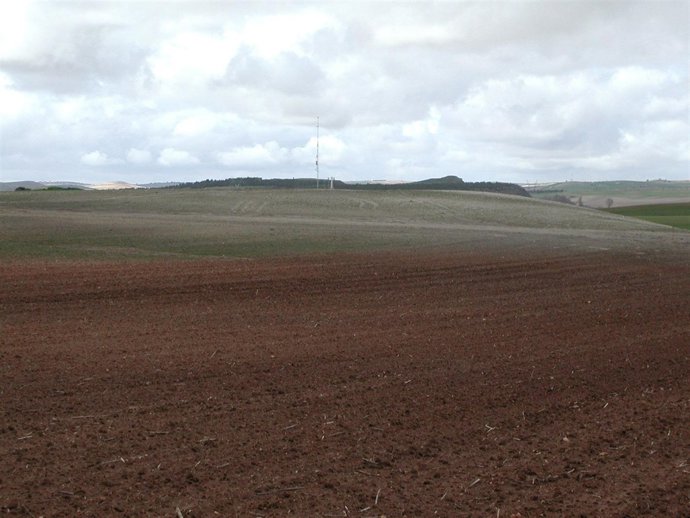 Terrenos donde se ubicará el ATC