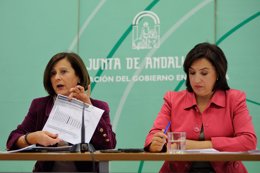La consejera de Salud, María José Sánchez Rubio,